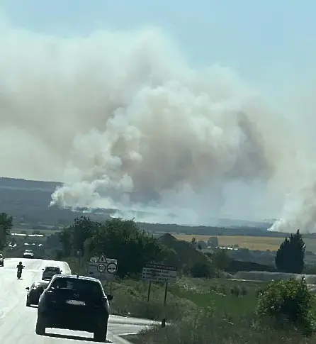 10 хил. дка гора и 8 коли унищожи пожара край АМ „Хемус”