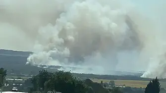 10 хил. дка гора и 8 коли унищожи пожара край АМ „Хемус”