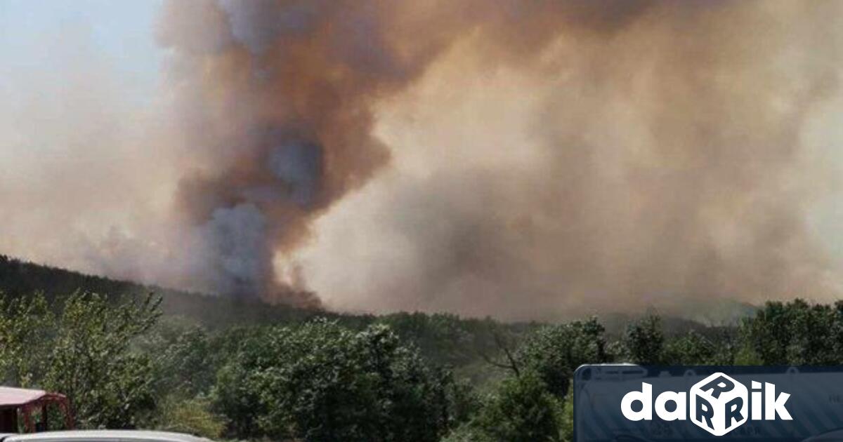 Община Хисаря набира доброволци и за неделя за да окажат