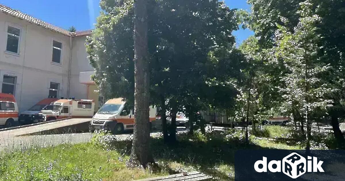 Вчера на пътя Кюстендил – Дупница малко след село Невестино