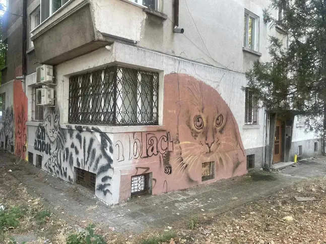 "Посока Бургас" и артистът Иван Янков продължават: Поредна сграда е преобразена с графити фасада 