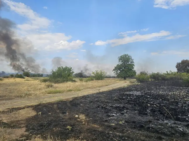 Пожар обхвана над 300 дка площи в Пазарджишко