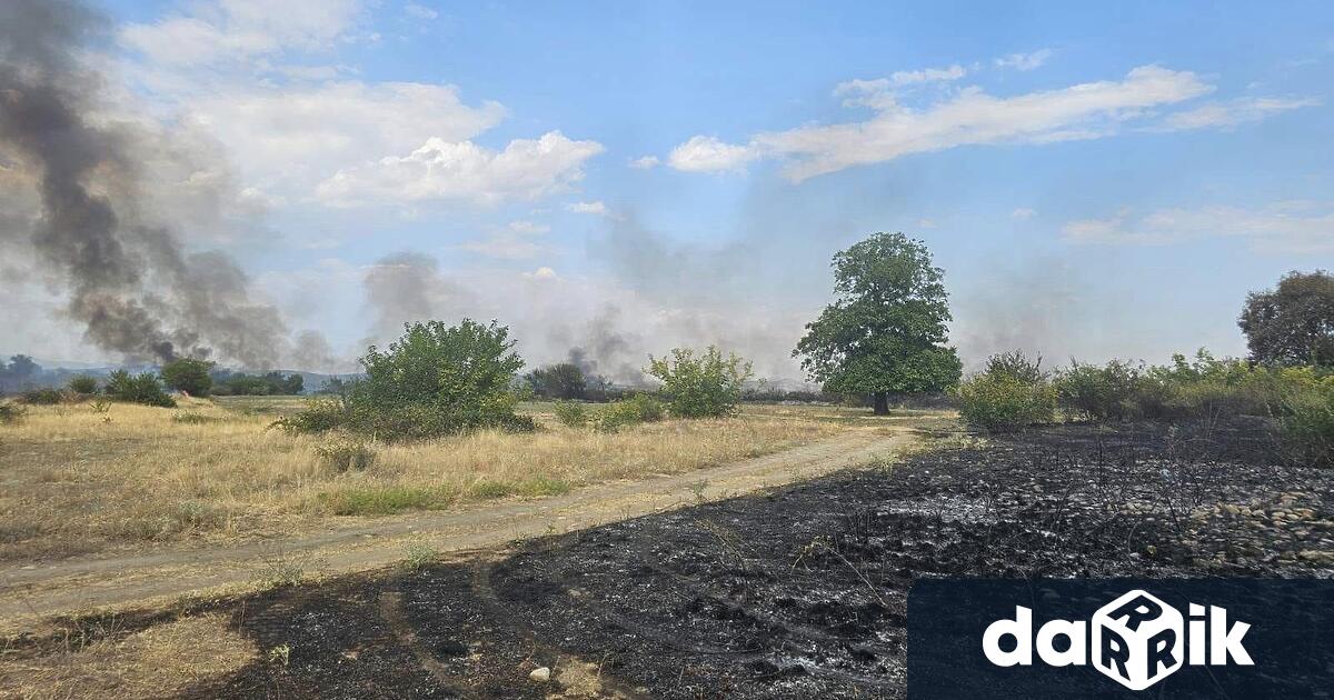 Голям пожар е изпепелил ниви и овощни градини край село