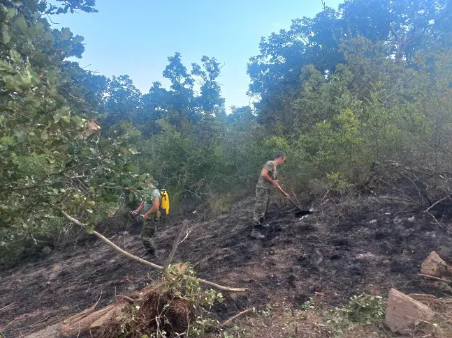 Пловдивските пожарникари остават и днес в Средна гора заради тлеещи огнища на пожари