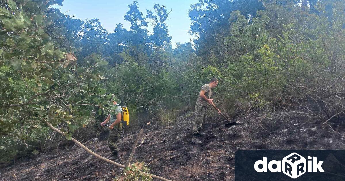 Пловдивските пожарникари остават и днес в Средна гора заради тлеещи