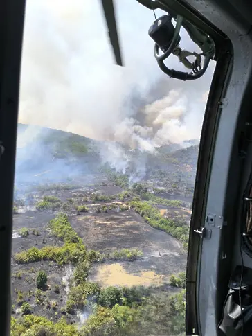 Военни и два хеликоптера се включват в гасенето на пожарите в Пловдивско