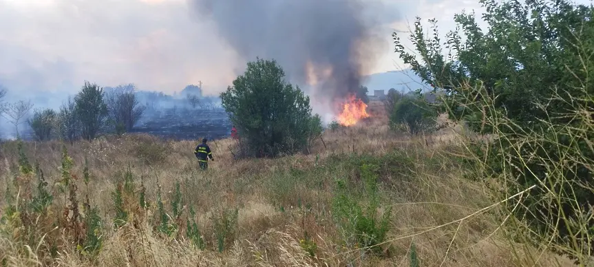 Нов пожар пламна в Пловдивско