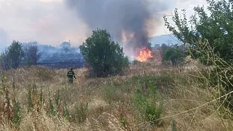 Нов пожар пламна в Пловдивско