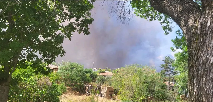 30 постройки са изпепелени от пожара във вилната зона на Отец Паисиево, евакуирани са 15 души