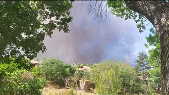 30 постройки са изпепелени от пожара във вилната зона на Отец Паисиево, евакуирани са 15 души