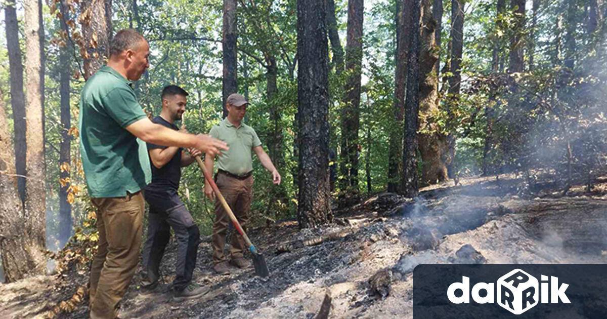 Към момента активен е пожарът над село Фролош който възникна
