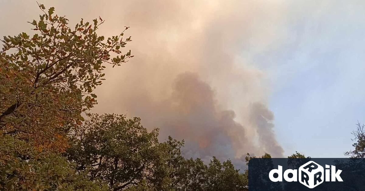 Пожар гори от двете страни на Карловско шосе в землището