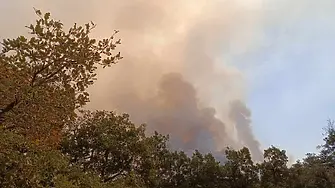 Пожар гори от двете страни на Карловско шосе 