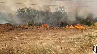 1500 декара гори унищожи пожарът край варненското село Слънчево