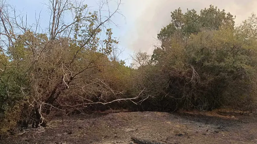 Пожарът в Пловдивско прехвърля над 9 хиляди декара площ, застрашава три села