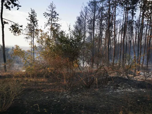 Нов пожар в Свиленградско към границата с Турция