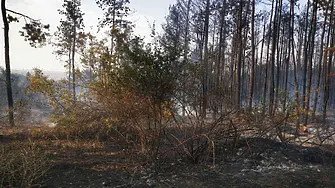 Нов пожар в Свиленградско към границата с Турция