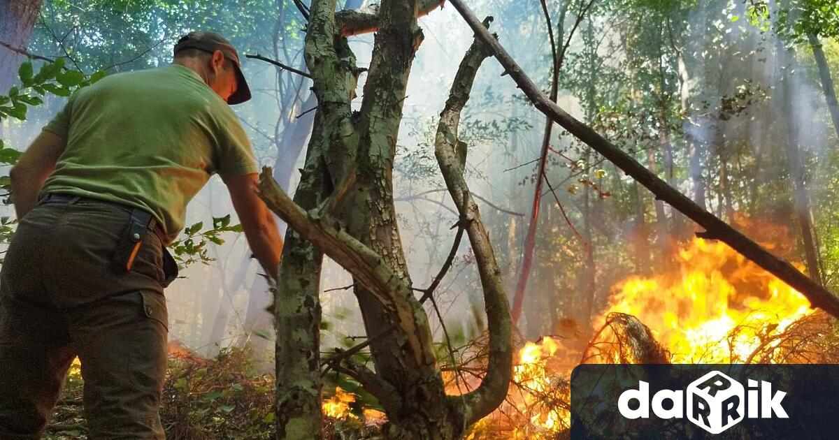 Продължава доугасяването на пожарът който възникна на 16 юли в