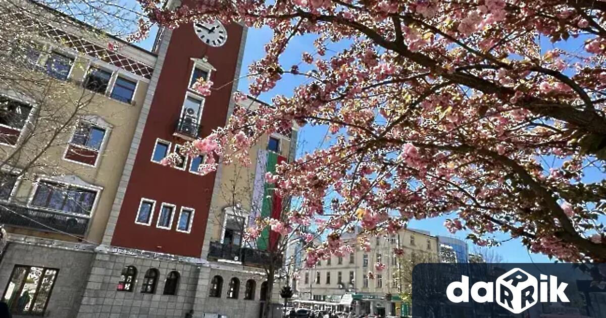 70000 лв са заложени в Програмата за финансово подпомагане на