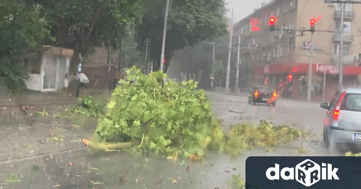 За около 40 минути в Плевен се изля дъжд с