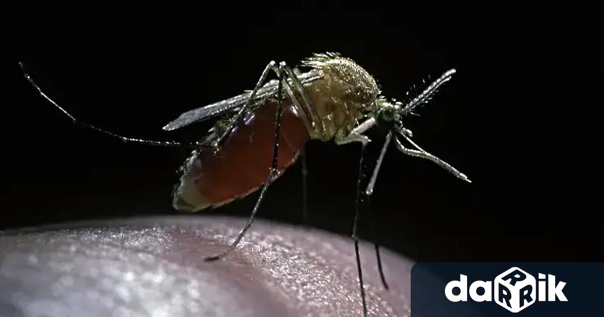 Община Каварна уведомява населението че на 18 07 2024 г от 21 00