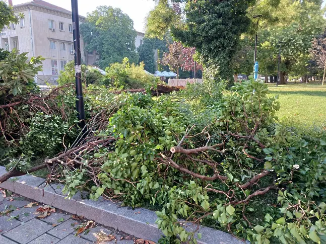 Екипи работят по отстраняване на пораженията от силния дъжд и ураганен вятър в Плевен 