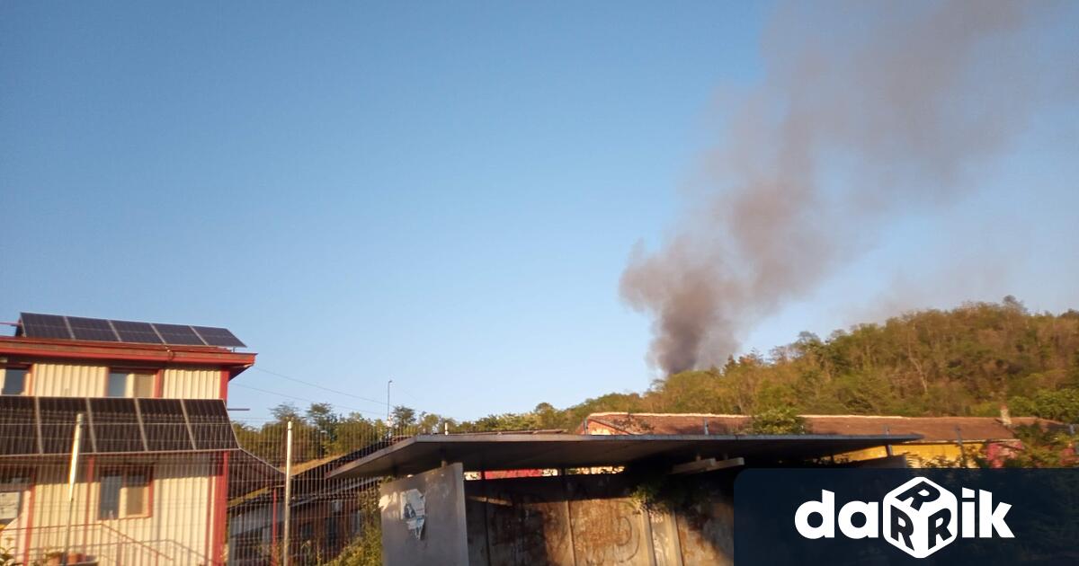 По описа на ОДМВР Русе е започнато досъдебно производство