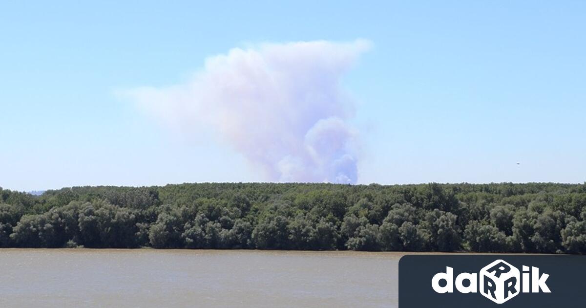 С молба към властта в Гюргево да не се допуска