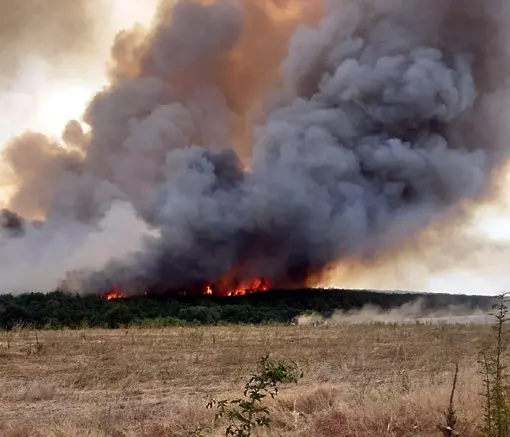 Голям пожар застраши три населени места в Пазарджишко