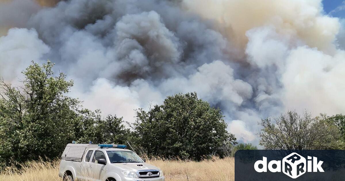 Пожарът в иглолистната гора край Стрелча е обграден от всички