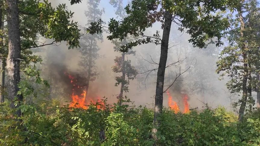 12 пожара са възникнали в горите на Централна Северна България от началото на годината