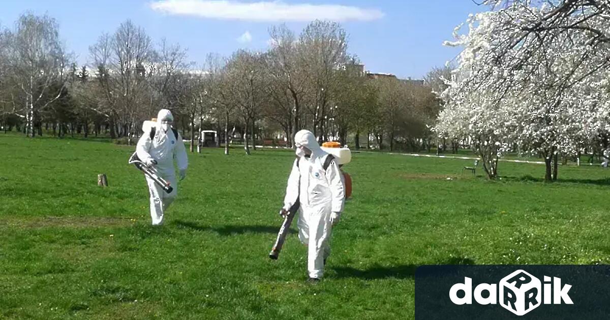 Дезинсекция на озеленени площи срещу имаго и ларви на комари