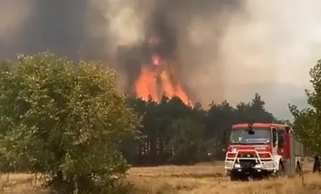 Огнен ад край Пловдив: Евакуирани граждани и унищожени домове в следствие на пожара