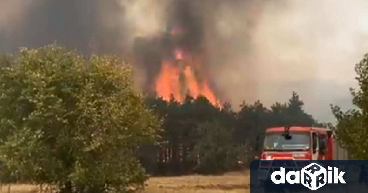 Евакуирани граждани и изгорели къщи около село отец Паисиево край