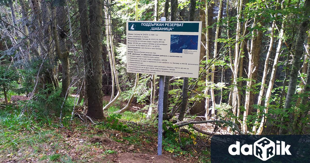 За предотвратяването на пожари РИОСВ – Смолян организира специализирано наблюдение