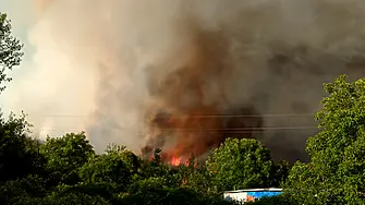 Умишлен пожар в село Димитриево, подпалвачът е установен