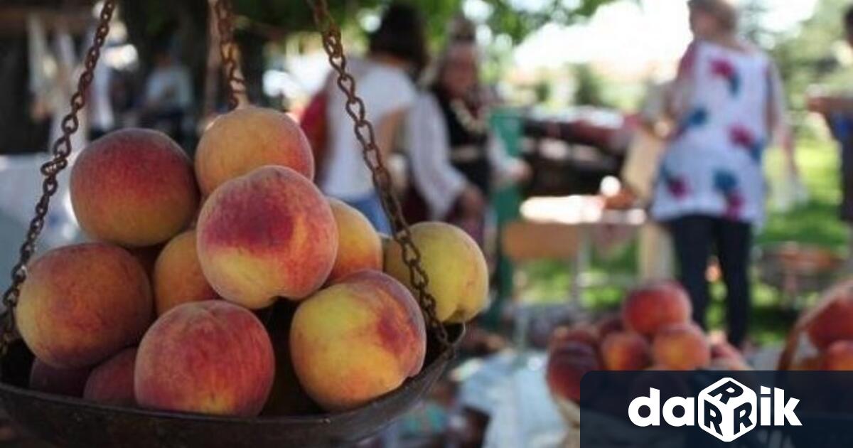 Традиционният празник Златна праскова ще се проведе на 25 и