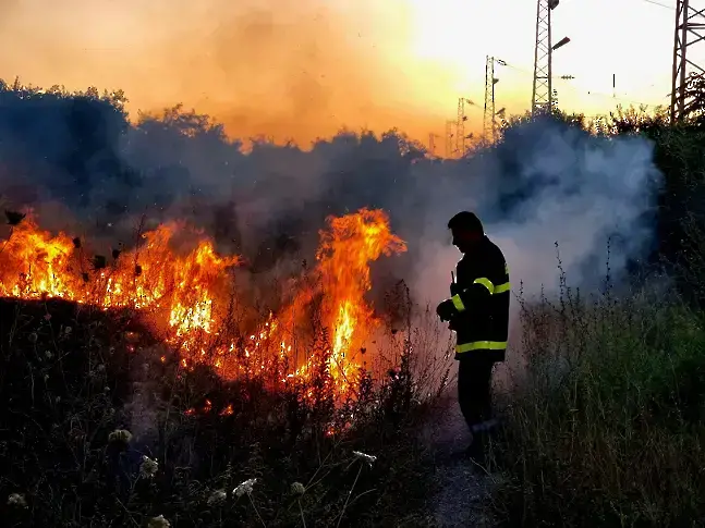 МВР: Няма действащи пожари на територията на страната