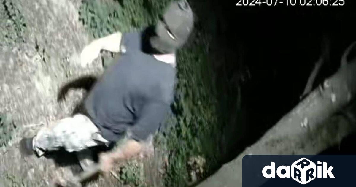 Задържан е мъжът повредил общински камери в димитровградския парк Марица