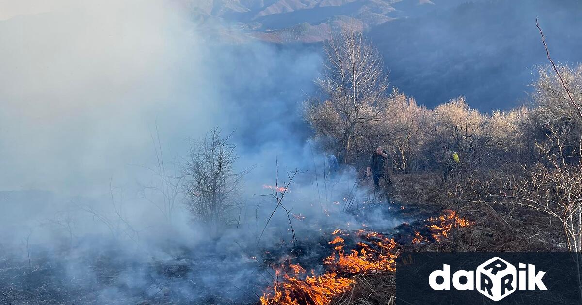 Четиринадесет пожара бушуваха от началото на месец юли до днес