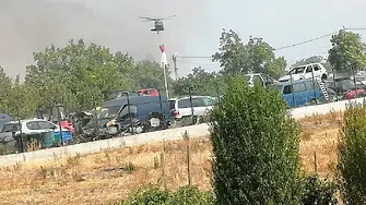 Овладяха пожара между пловдивските села Скутаре и Рогош (видео)