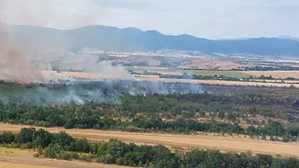 Девет екипа огнеборци, хеликоптер, булдозер и пет трактора гасиха пожар до Пловдив