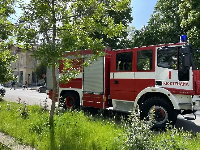 Лекотоварен автомобил с 60 бали фураж изгоря в землището на Горна Брестница