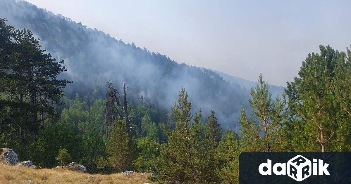 Пожарът в Северна Гърция близо до границата с България е