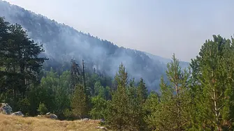 Овладян е пожарът в Гърция, който заплашваше да навлезе в България