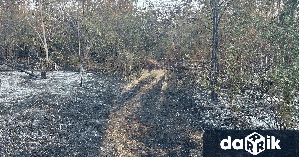 Малко над 90 дка сухи треви и храсти са изгорели