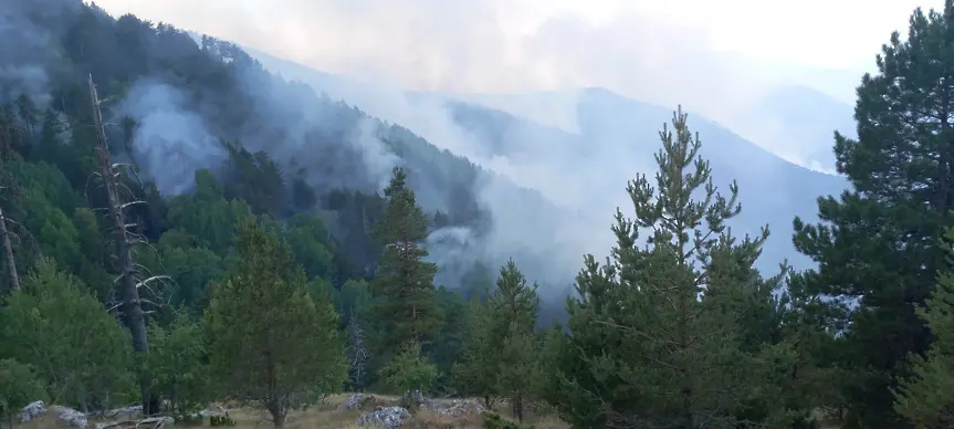 Горският пожар в Гърция стигна до границата с България