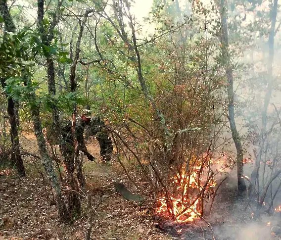 Комисия ще описва щетите от пожарите в Калояново