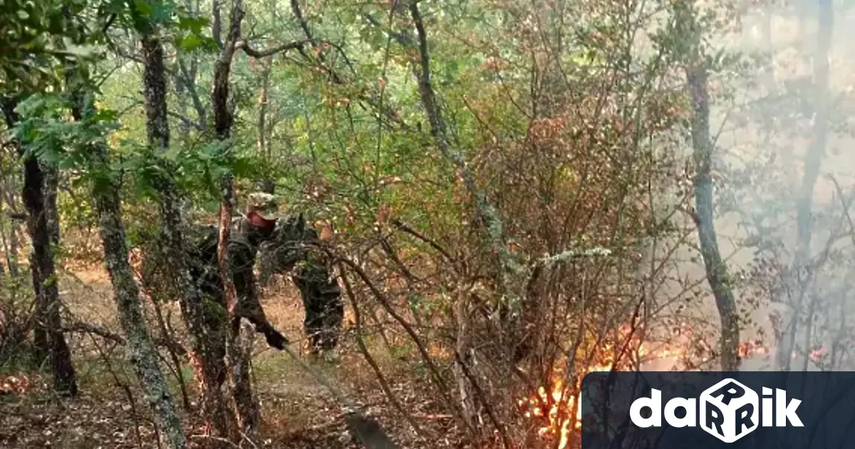 Община Калояново сформира комисия която описва щетите от пожарите в