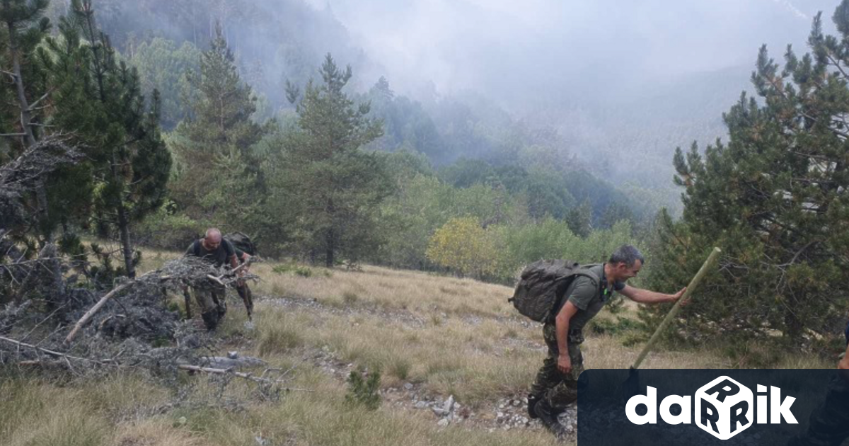 Огнените пламъци в планина Славянка, Гърция са овладени и е